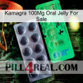 Kamagra 100Mg Oral Jelly For Sale new04